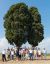 groupe_cypres2