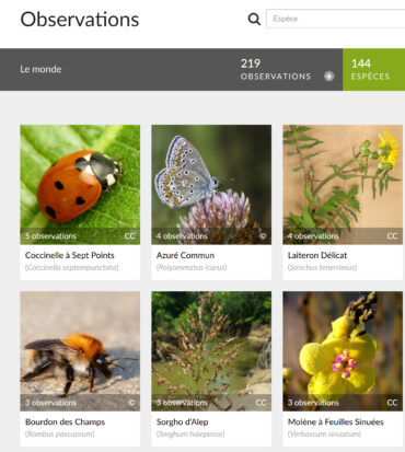 Inaturalist