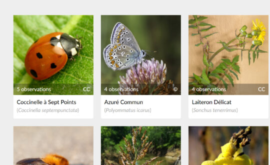 Inaturalist
