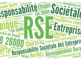 an6m_rsemsw--1012