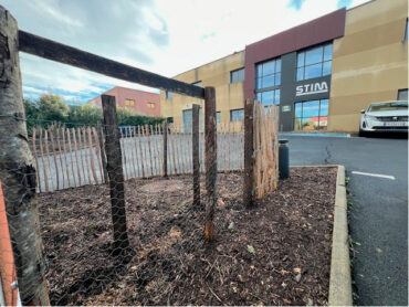 amenagement-exterieur3