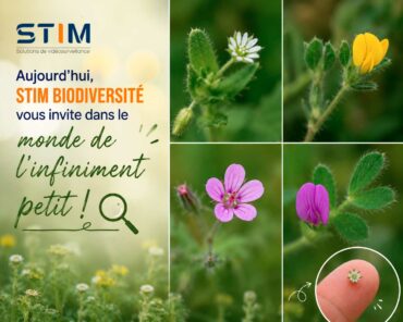 infiniment_petit_stim_bio